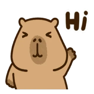 Video sticker 👋 Kapi (@TodorokiShouto)