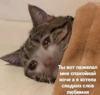 Telegram sticker 😭 милые пикчи