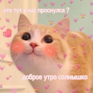 Telegram sticker 👉 милые пикчи