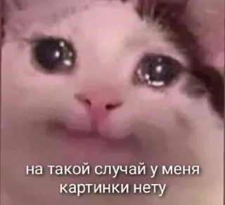 Telegram sticker 😟 милые пикчи