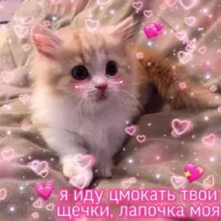 Telegram sticker 🥺 милые пикчи