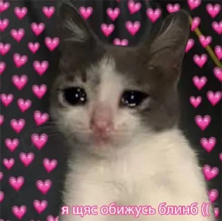 Telegram sticker 😭 милые пикчи