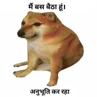 Telegram stiker 🙂 𝐇𝐢𝐧𝐝𝐢 𝐃ᴏɢ 𝐌ᴇᴍᴇ 💀 @indianstickermeme — @stckrRobot