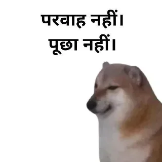Video sticker 😏 𝐇𝐢𝐧𝐝𝐢 𝐃ᴏɢ 𝐌ᴇᴍᴇ 💀 @indianstickermeme — @stckrRobot