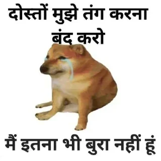 Video sticker 🥺 𝐇𝐢𝐧𝐝𝐢 𝐃ᴏɢ 𝐌ᴇᴍᴇ 💀 @indianstickermeme — @stckrRobot