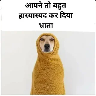 Telegram stiker 🌝 𝐇𝐢𝐧𝐝𝐢 𝐃ᴏɢ 𝐌ᴇᴍᴇ 💀 @indianstickermeme — @stckrRobot