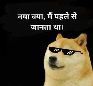 Video sticker 😎 𝐇𝐢𝐧𝐝𝐢 𝐃ᴏɢ 𝐌ᴇᴍᴇ 💀 @indianstickermeme — @stckrRobot