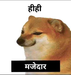 Sticker 😁 𝐇𝐢𝐧𝐝𝐢 𝐃ᴏɢ 𝐌ᴇᴍᴇ 💀 @indianstickermeme — @stckrRobot