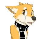 Video sticker 😢 Fluffy Dave