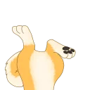 Telegram sticker 🐺 Fluffy Dave