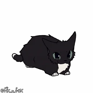 Video sticker 😸 Favorite | @MT_Is_MAD