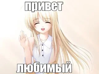 Video sticker 🤩 няшки на все случаи жизни ୨୧