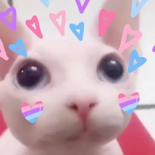 Telegram sticker 😍 Ronaldo🦥 :: @fStikBot