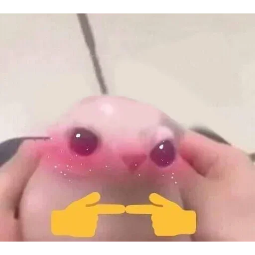 Telegram sticker 😽 Ronaldo🦥 :: @fStikBot