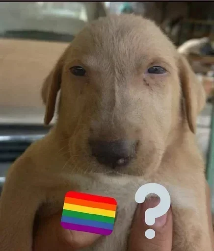 Telegram sticker 🤨 Ronaldo🦥 :: @fStikBot