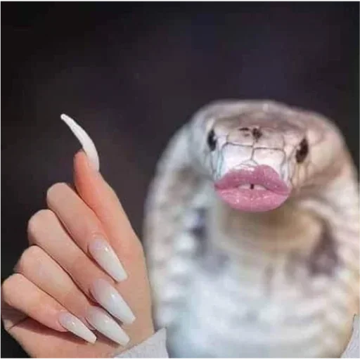 Telegram sticker ✅ Ronaldo🦥 :: @fStikBot