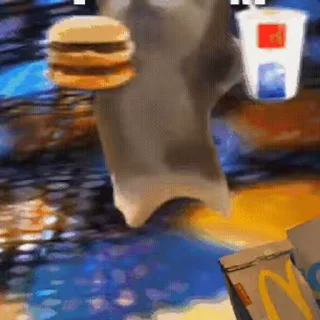 Video sticker 🐈 создать свои стикеры - @sozdat_stikeryy