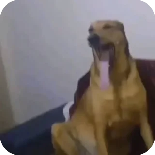 Telegram sticker 🧚 Rashi's Sticker pack