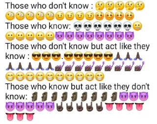 Video sticker 🧚 Rashi's Sticker pack