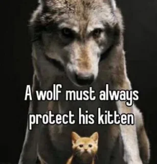 Telegram sticker 🧚 Rashi's Sticker pack