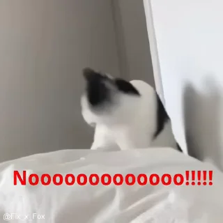 Video sticker ❌ ƈαƚʂ😼 @pi0huuu
