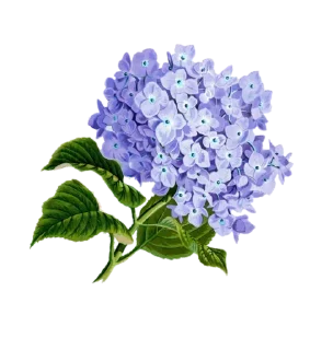 Video sticker 🌸 Больше стиков тут: @stikery4