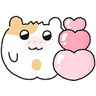 Video sticker ⭐ 저는 옹햄규입니다. @moe_sticker_bot