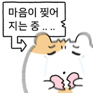 Telegram sticker ⭐ 저는 옹햄규입니다. @moe_sticker_bot