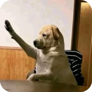 Sticker 🐱 Больше стикеров тут: @stikery_emodzi_memy