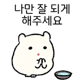 Video sticker ⭐ 어찌저찌 살찌 2 @moe_sticker_bot
