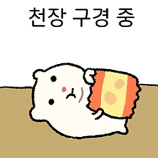Sticker ⭐ 어찌저찌 살찌 2 @moe_sticker_bot