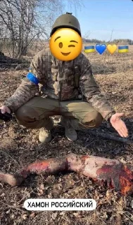 Telegram sticker 🥓 руССняві шашлички від @vatogril