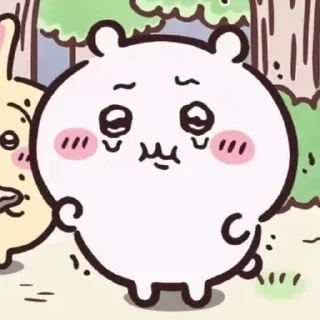 Video sticker 🔹 Chiikawa-2