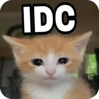 Telegram sticker 🐱 random  @AutisticNiggerSings