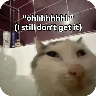 Video sticker 🐱 random  @AutisticNiggerSings