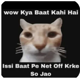 Telegram sticker 🐱 ~ Nickhil • [ @Nikchil ] ~