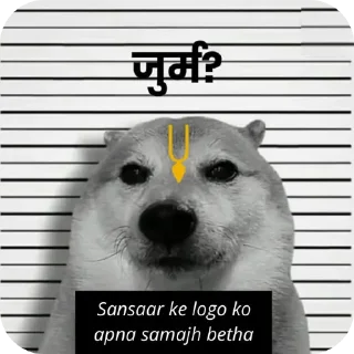 Telegram sticker 🐶 ~ Nickhil • [ @Nikchil ] ~