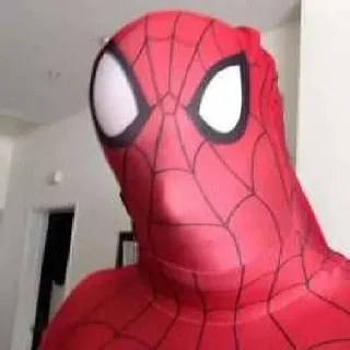 Telegram stiker 😂 ردود سبايدرية