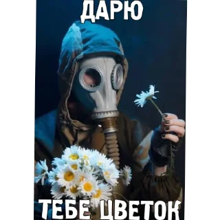 Telegram sticker 🥰 Сталкер