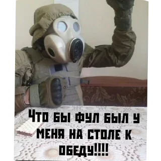 Video sticker 🖼 Сталкер