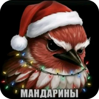 Video sticker 🎄 Гнездо Тиктока. by : @CamillusG