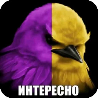 Telegram sticker 🐦 Гнездо Тиктока. by : @CamillusG