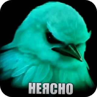 Telegram sticker 🐦 Гнездо Тиктока. by : @CamillusG