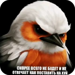 Video sticker 🐦 Гнездо Тиктока. by : @CamillusG