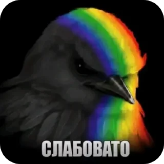 Video sticker 🐦 Гнездо Тиктока. by : @CamillusG