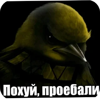 Telegram sticker 🖼 Гнездо Тиктока. by : @CamillusG