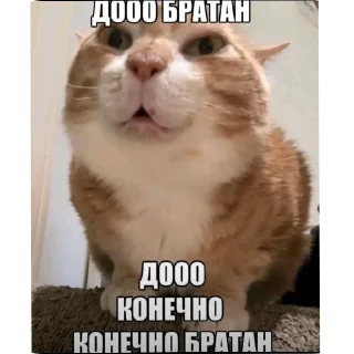 Telegram stiker 🐱 Гей клуб :: @fStikBot