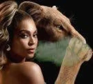 Telegram sticker 🤮 Com a Haus é assim...