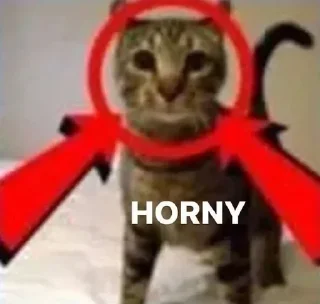 Video sticker 😏 Больше стикеров 👉🏻 @stickertg4