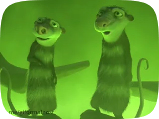 Video sticker 🗿 Чопушур